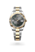 Rolex  Datejust 41 Oyster, 41 mm, Oystersteel and yellow gold M126333-0019