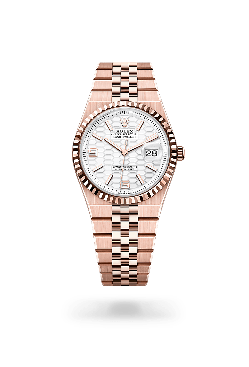 rolex land-dweller in everose gold, M127235-0001 - henne jewelers
