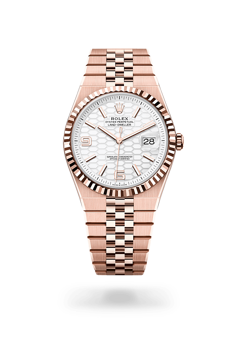 rolex land-dweller in everose gold, M127335-0001 - henne jewelers